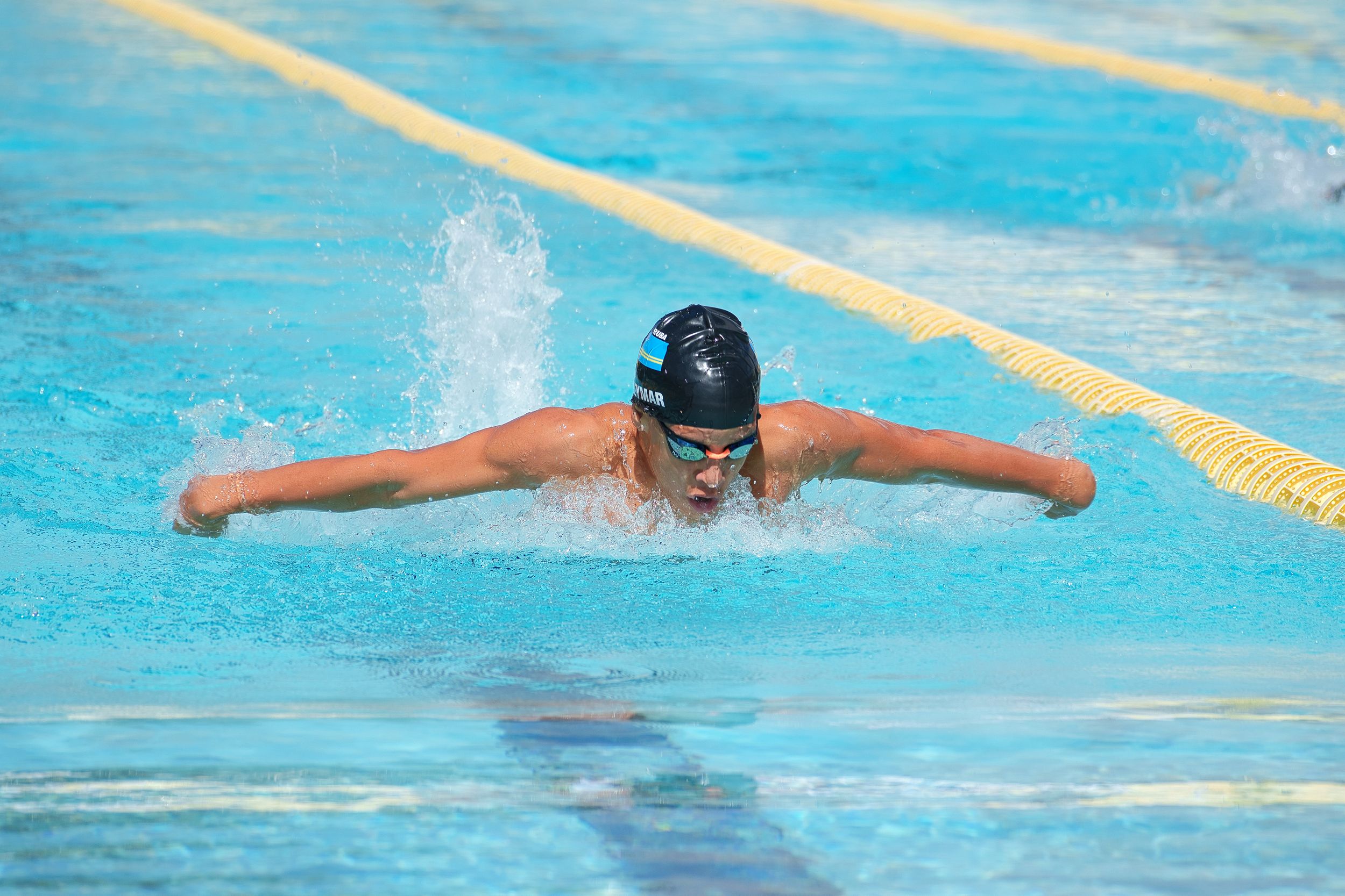 In the Water — competitive swimming